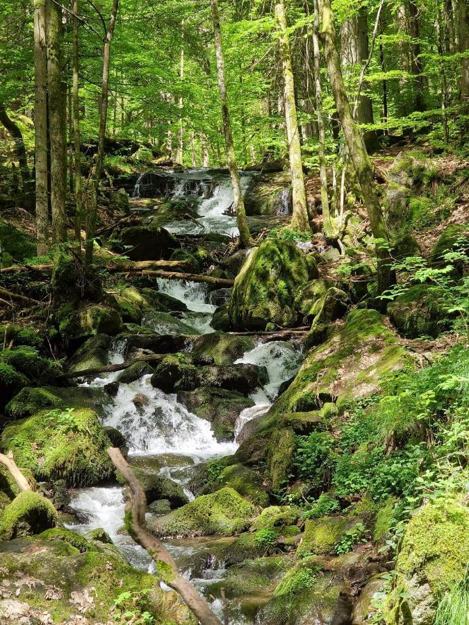 Ferien Vom Ich, Bayerischer Wald, Hotel & Restaurant Neukirchen  외부 사진