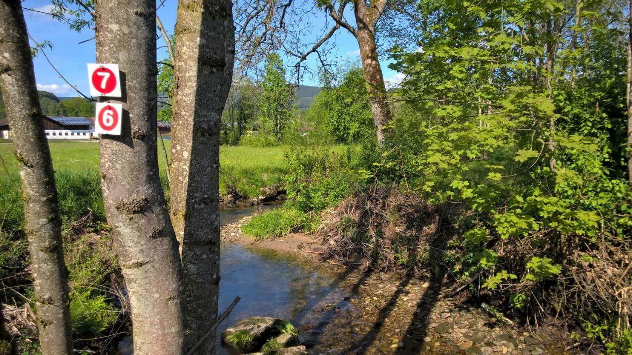 Ferien Vom Ich, Bayerischer Wald, Hotel & Restaurant Neukirchen  외부 사진