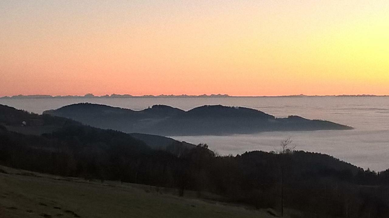 Ferien Vom Ich, Bayerischer Wald, Hotel & Restaurant Neukirchen  외부 사진