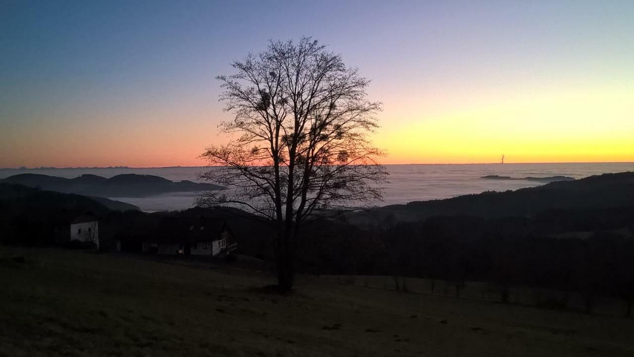 Ferien Vom Ich, Bayerischer Wald, Hotel & Restaurant Neukirchen  외부 사진