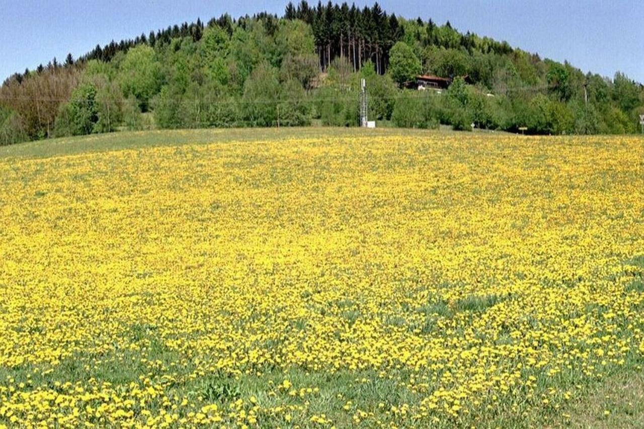 Ferien Vom Ich, Bayerischer Wald, Hotel & Restaurant Neukirchen  외부 사진