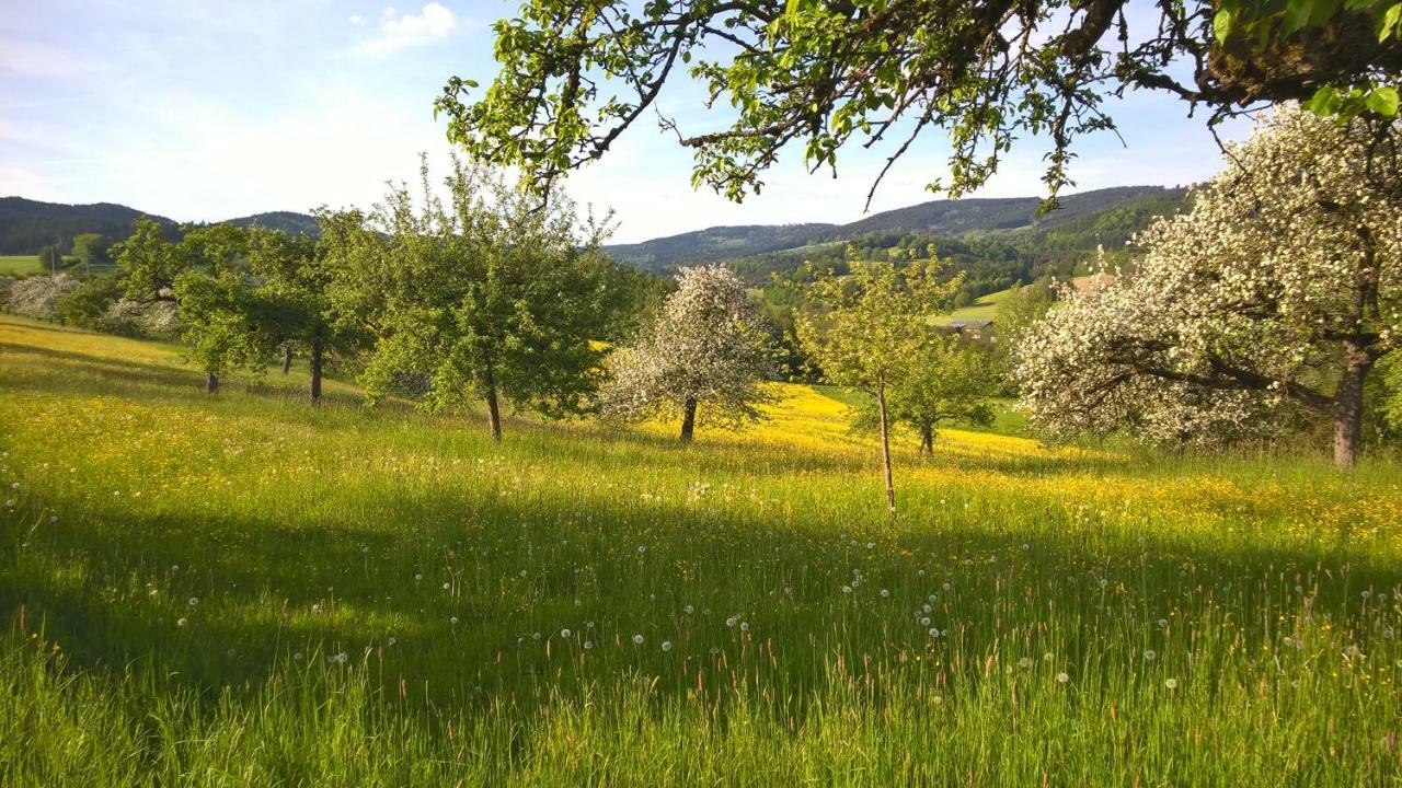 Ferien Vom Ich, Bayerischer Wald, Hotel & Restaurant Neukirchen  외부 사진