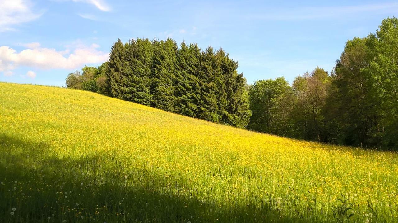 Ferien Vom Ich, Bayerischer Wald, Hotel & Restaurant Neukirchen  외부 사진