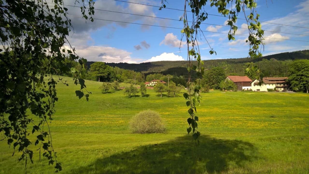 Ferien Vom Ich, Bayerischer Wald, Hotel & Restaurant Neukirchen  외부 사진