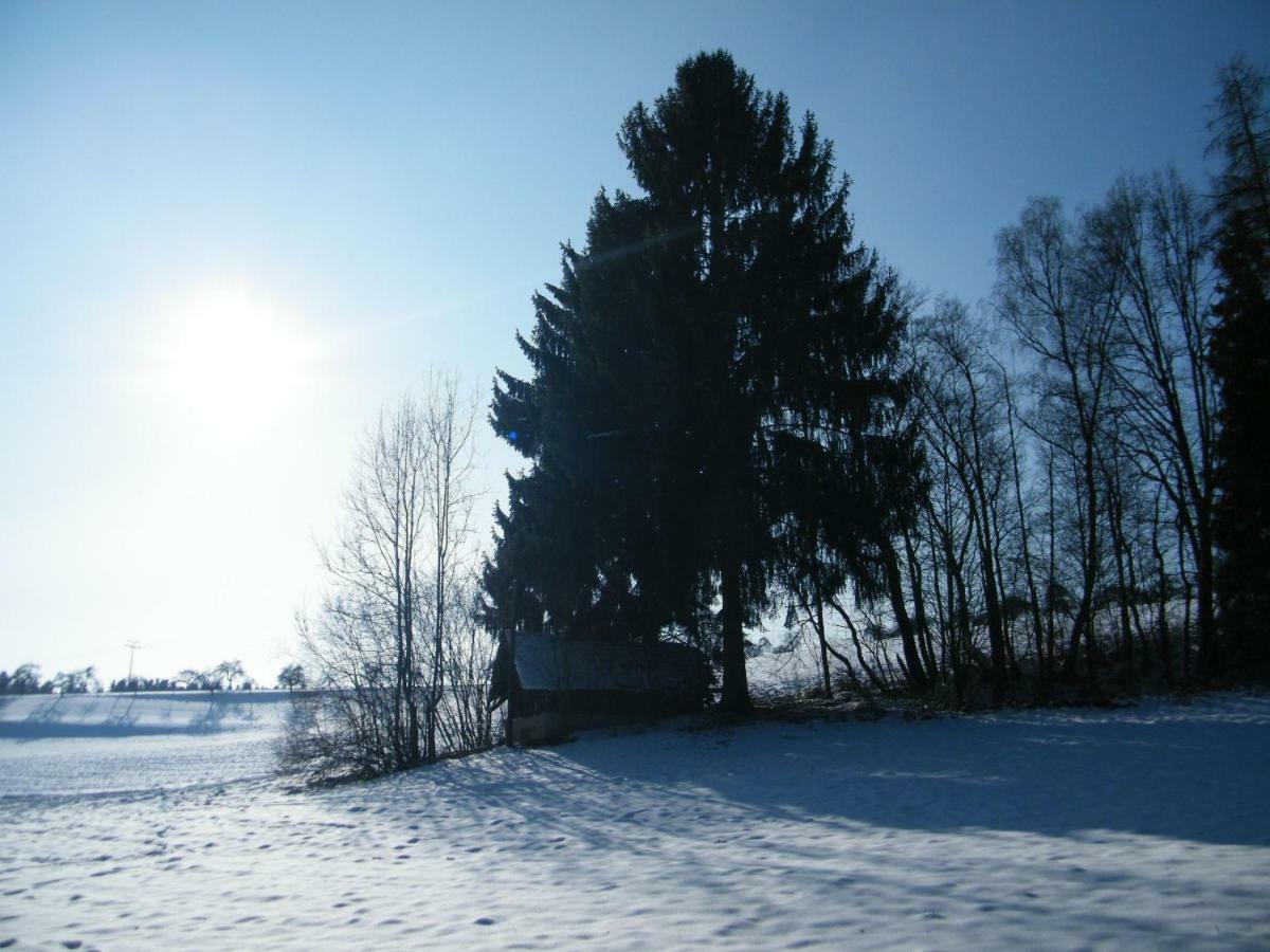 Ferien Vom Ich, Bayerischer Wald, Hotel & Restaurant Neukirchen  외부 사진